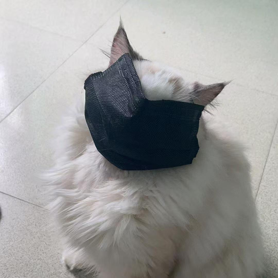 个人头像